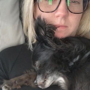 Meet your Posher, Windy